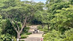 Park Colonial (D13), Condominium #445015401